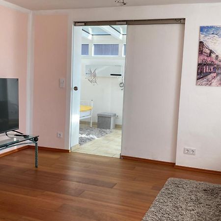 Fewo Luxus Wohnung Im Eigenen Ferienhaus, 120 Qm, Naehe Regensburg Mit Balkon, Terrasse & Garten, Gute Zuganbindung Laber Екстериор снимка