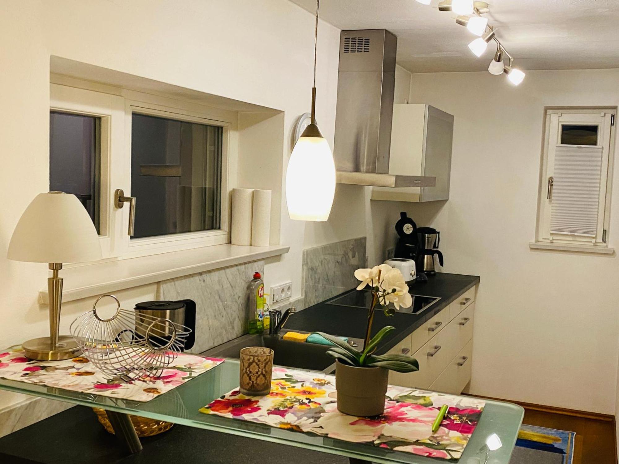 Fewo Luxus Wohnung Im Eigenen Ferienhaus, 120 Qm, Naehe Regensburg Mit Balkon, Terrasse & Garten, Gute Zuganbindung Laber Екстериор снимка